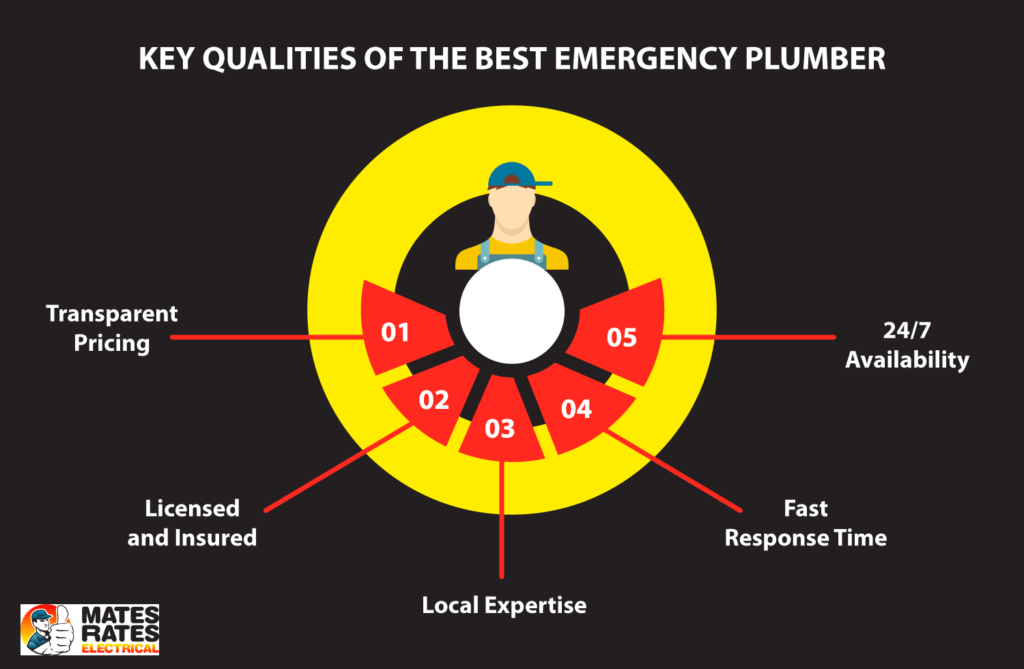Key qualities of the best emergency plumber